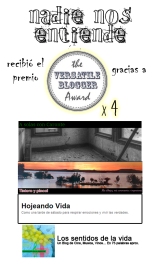 Nadie Nos Entiende recibió 4 nominaciones a The Versatile blogger Award